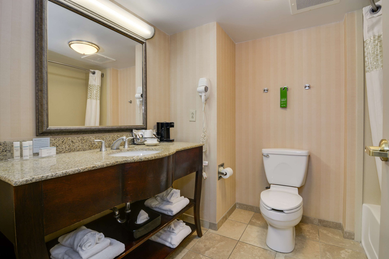 Bathroom 4, Hampton Inn Atlanta Fairburn, Fulton