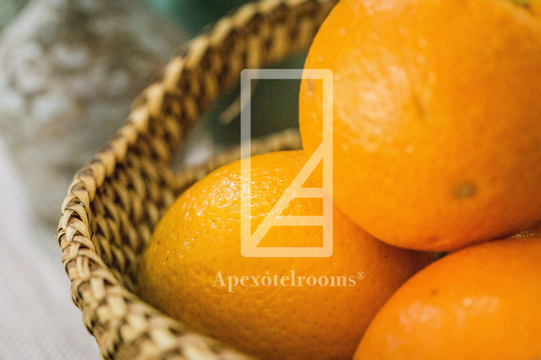 Food & Drinks 16