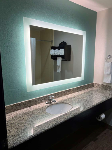 Bathroom 4, Best Western Plus Greenwood/Indy South Inn, Johnson