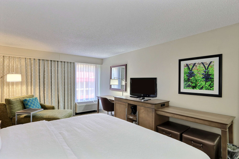 Bedroom 4, Hampton Inn Savannah-I-95/Richmond Hill, Bryan