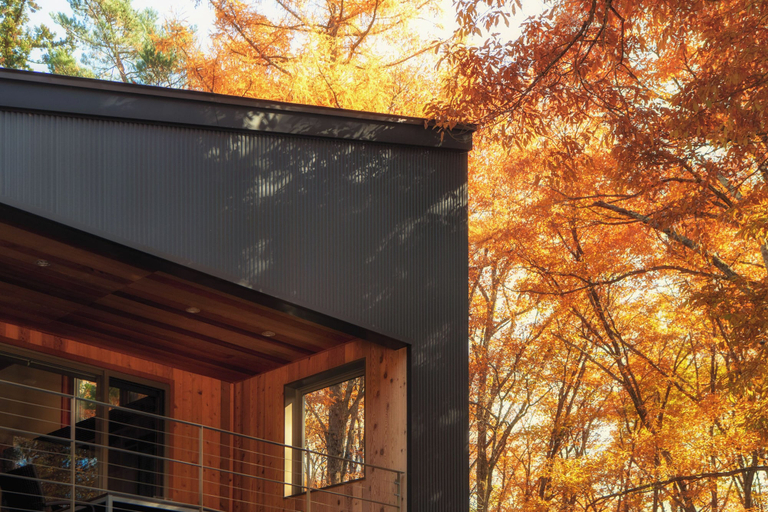 Exterior & Views 1, Phoenix Cocoon, Hakuba