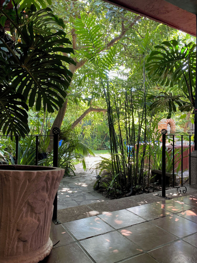 Others 4, Ruaj Hostal, Antigua Guatemala