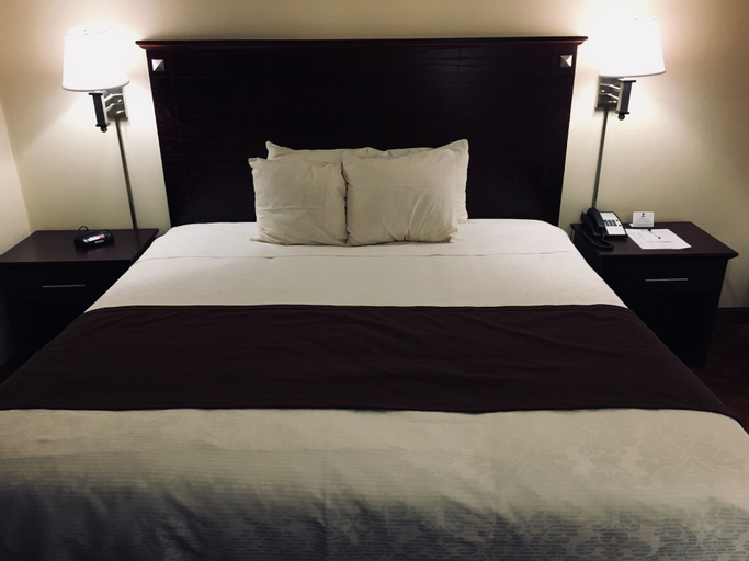 Bedroom 5