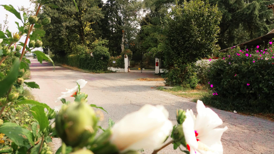 Others 5, Villa Maria Sole - Bed & Breakfast, Cuneo