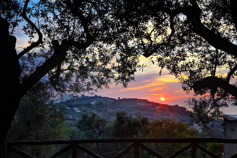 Room 2, Tulipano - A Charming and Peaceful Hillside Villa With Lovely Views, Napoli