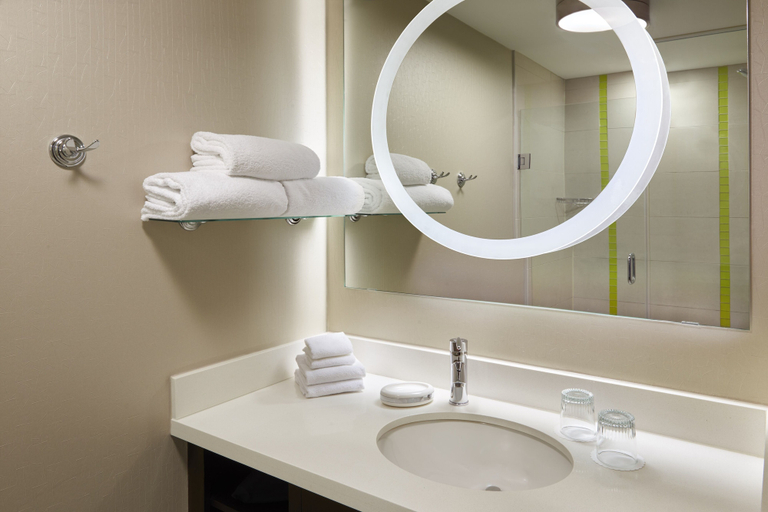 Bathroom 4, SpringHill Suites by Marriott Toronto Vaughan, York