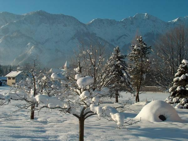 View 1, Haus Puntigam, Gmunden
