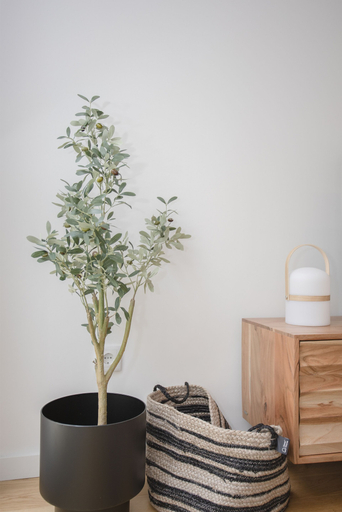 Others 4, NAX Apartment E by Liiiving, Porto