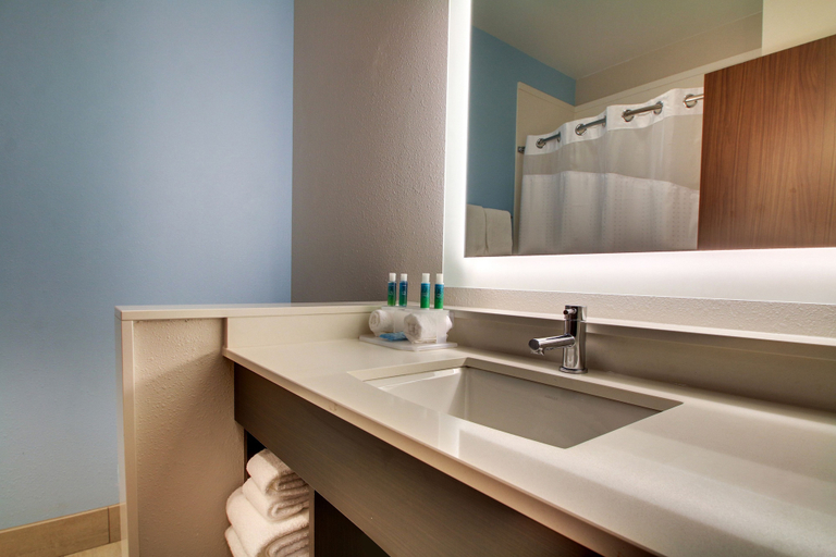 Bathroom 4, Holiday Inn Express & Suites SUMMERVILLE by IHG, Berkeley