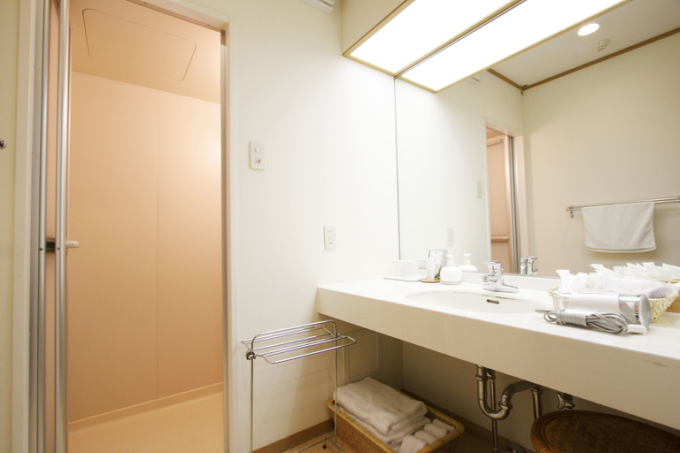 Bathroom 4, Mizunoto, Hakone