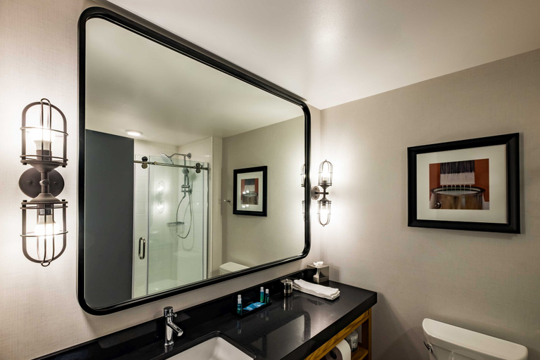 Bathroom 4, Hotel Indigo MADISON DOWNTOWN by IHG, Dane