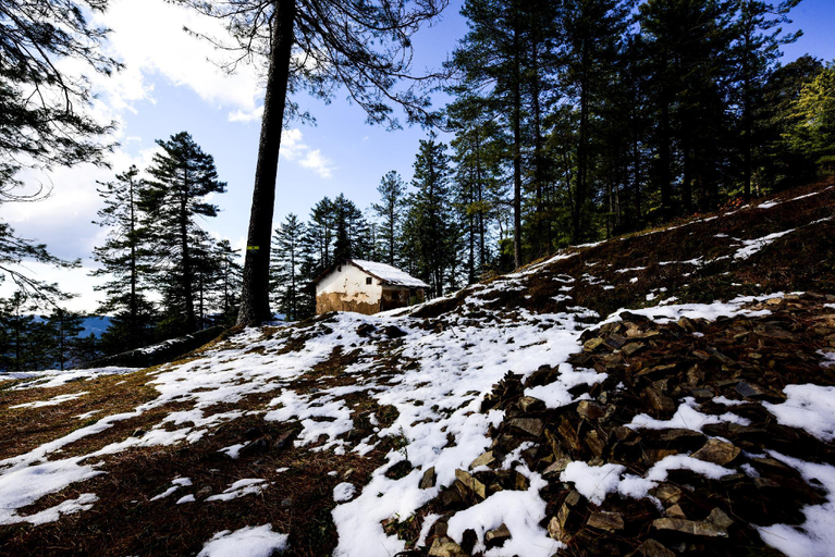 Others 2, Zostel Homes Mashobra (Shimla), Shimla