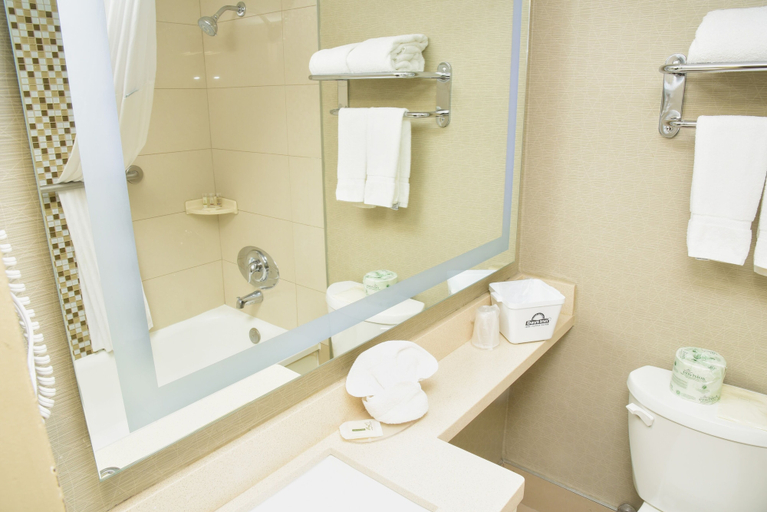 Bathroom 5, Days Inn by Wyndham Ottawa, Ottawa