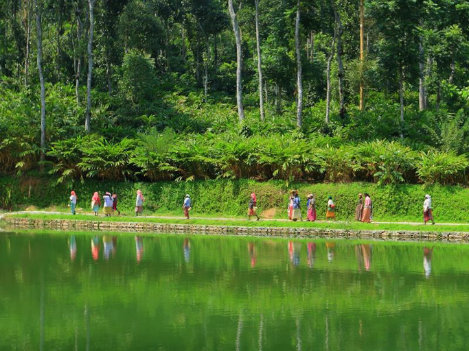 Others 5, Amaana Plantations Resort, Idukki