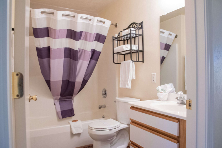 Bathroom 4, Affordable Corporate Suites - Lanford, Roanoke City
