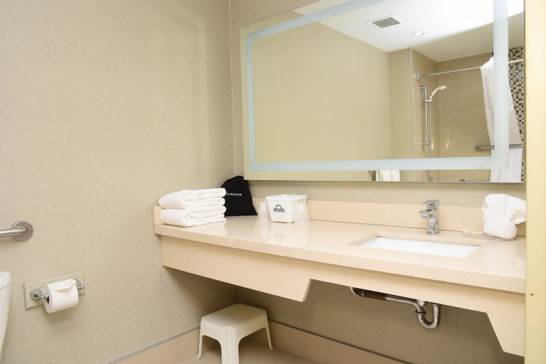 Bathroom 4, Days Inn by Wyndham Ottawa, Ottawa