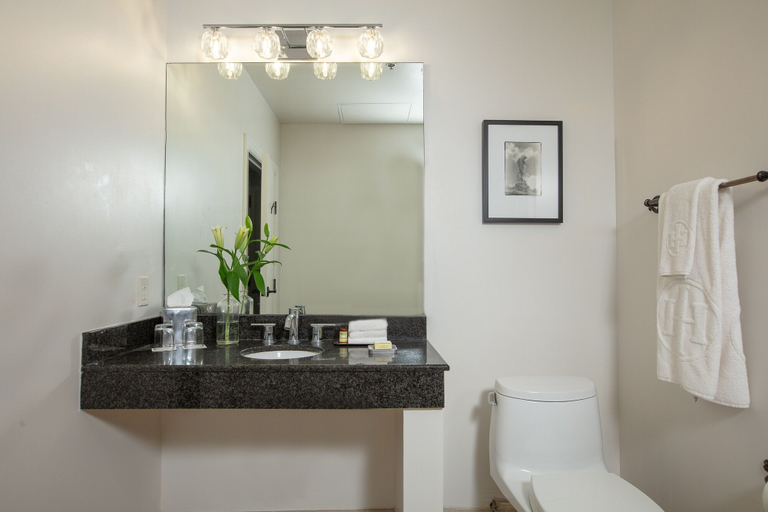 Bathroom 4, International House Hotel, Orleans