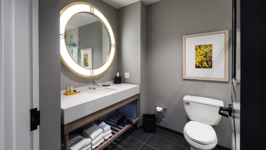 Bathroom 3, Hotel Indigo HATTIESBURG by IHG, Forrest