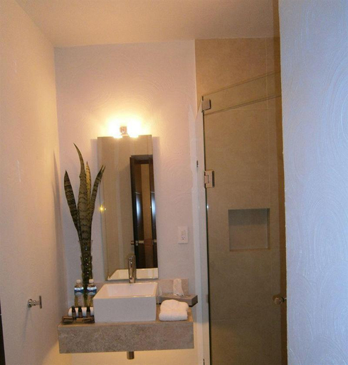 Bathroom 2, M Hoteles Concepto, Morelia