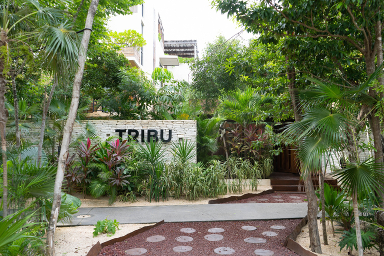 Exterior & Views 2, Apartamento original Tribu l Piscina l, Cozumel