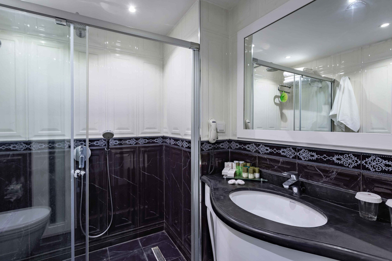 Bathroom 5, Asteria Family Resort Side (Ex. Euphoria Palm Beach), Manavgat