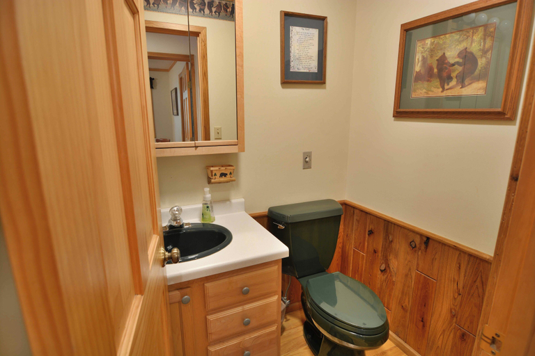 Bathroom 3, Cascade, Sawyer