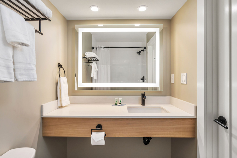 Bathroom 4, GoodSpring Motel, Napa