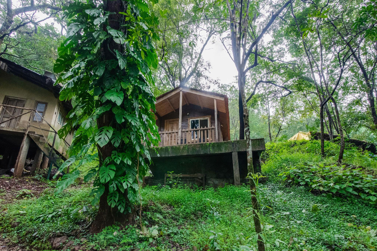 Others 3, Old Magazine House - Jungle Lodges, Uttara Kannada