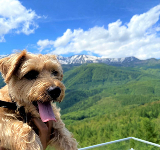Others 3, Hakuba Powder Mountain, Hakuba