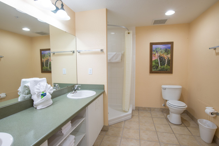 Bathroom 4, Vacation Village Orlando, Celebration, Osceola
