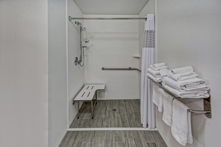 Bathroom 4, Hampton Inn & Suites Clermont, Lake