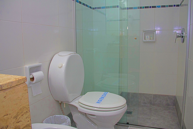 Bathroom 4, Hotel America, Montevideo