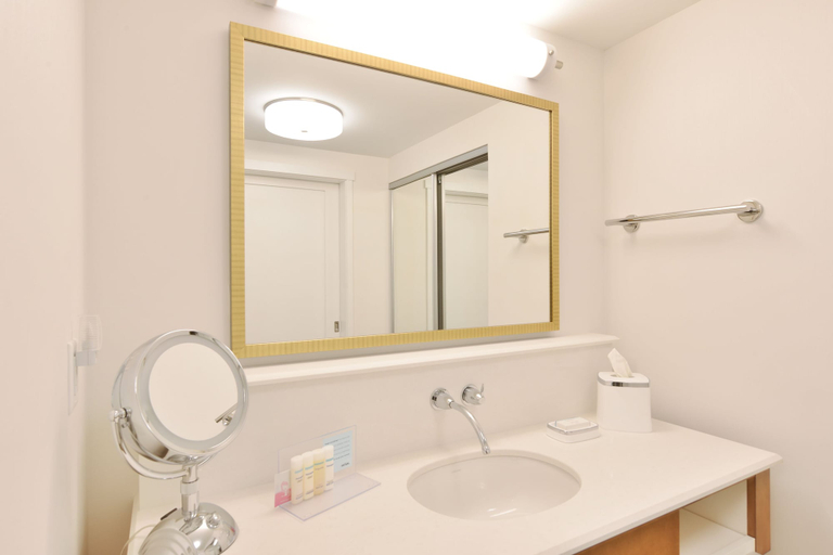 Bathroom 5, Hampton Inn & Suites Chippewa Falls, Chippewa