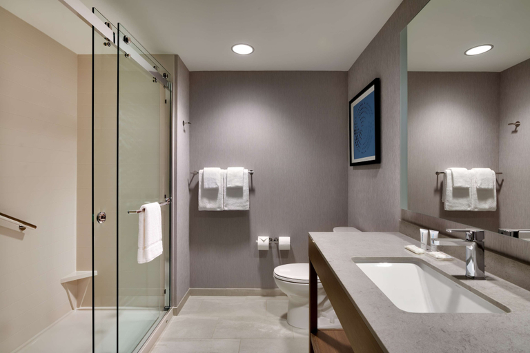 Bathroom 4, Hyatt Place Fayetteville/Springdale, Washington