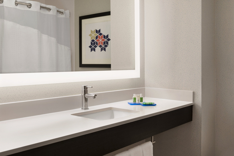 Bathroom 5, Holiday Inn Express & Suites MCALESTER, Pittsburg