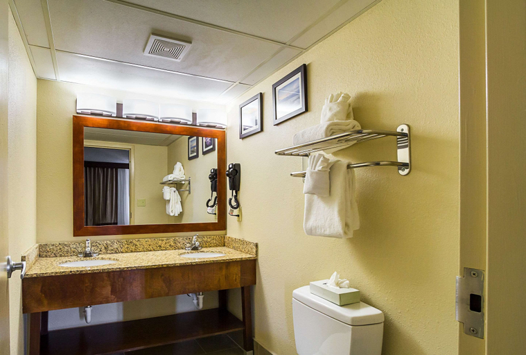 Bathroom 4, Comfort Inn Cleveland Downtown, Cuyahoga