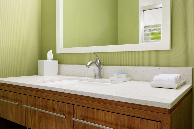 Bathroom 3, Home2 Suites by Hilton Stillwater, Payne
