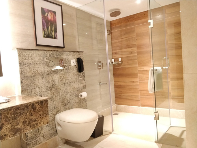 Bathroom 3, Radisson Golf Resort Pahalgam, Anantnag
