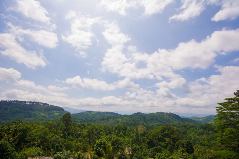 Others 5, roylanka inn, Udunuwara