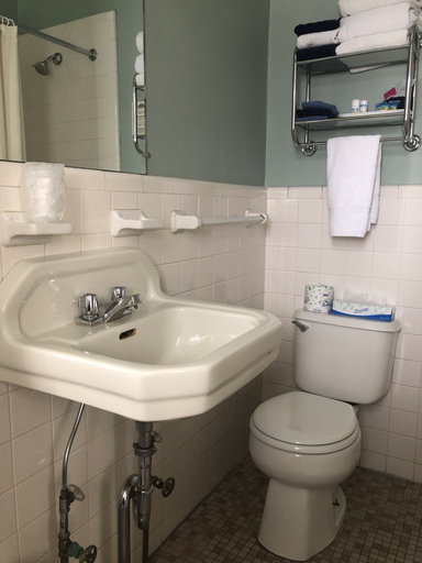 Bathroom 4, Hotel Coolidge, Windsor