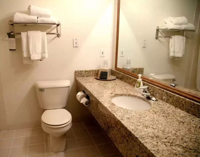Bathroom 4, Comfort Inn & Suites at I-74 and 155, Tazewell