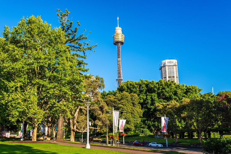 Ultimo Terrace, Sydney