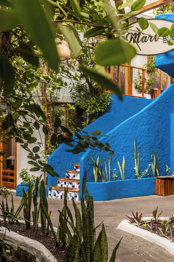 Sport & Beauty 2, Blu Galapagos Sustainable Waterfront Lodge, Santa Cruz