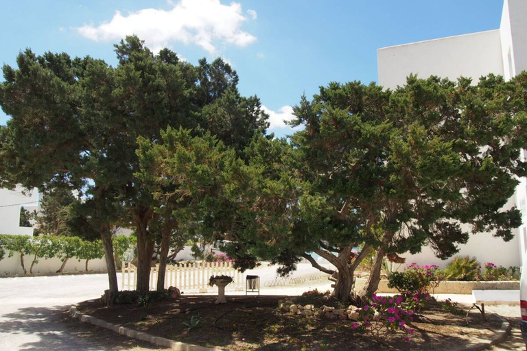 Exterior & Views 2, Complejo Lago Playa, Baleares