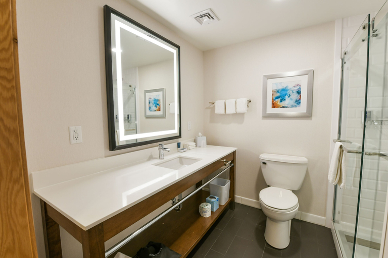 Bathroom 5, Four Points By Sheraton Wakefield Boston Hotel, Middlesex