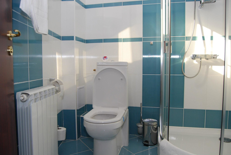 Bathroom 5, Pensiunea President, Deva