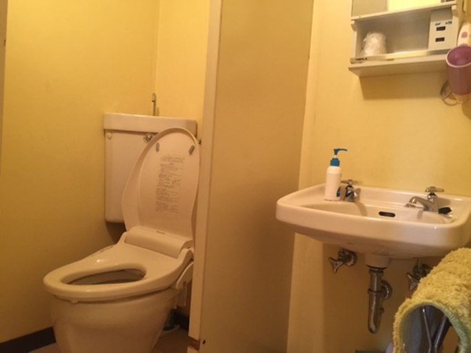 Bathroom, Fuji Subashiri Condominium Tannpopo, Oyama