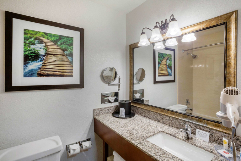 Bathroom 4, Comfort Inn Castro Valley, Alameda