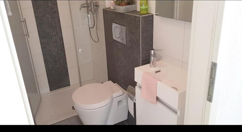 2 bedrooms appartement with lake view enclosed garden and wifi at Pont en Ogoz, La Gruyère