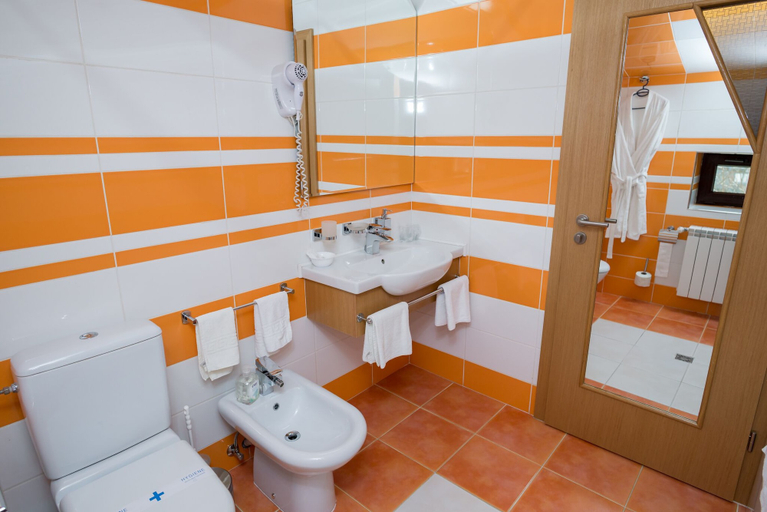 Bathroom 5, Pensiunea President, Deva